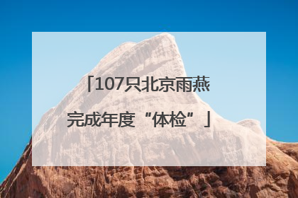 107只北京雨燕完成年度“体检”