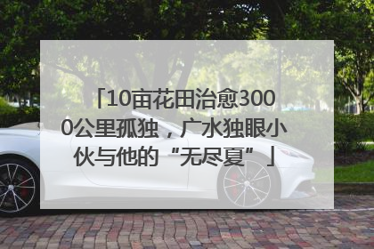 10亩花田治愈3000公里孤独，广水独眼小伙与他的“无尽夏”