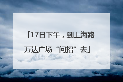 17日下午，到上海路万达广场“问招”去