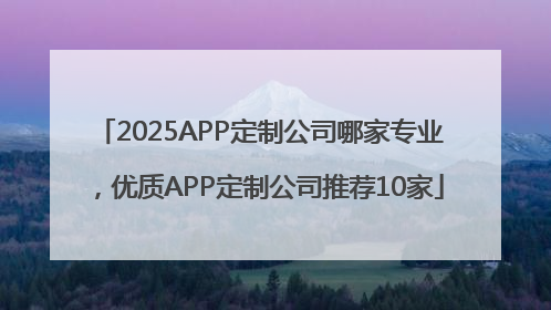 2025APP定制公司哪家专业，优质APP定制公司推荐10家