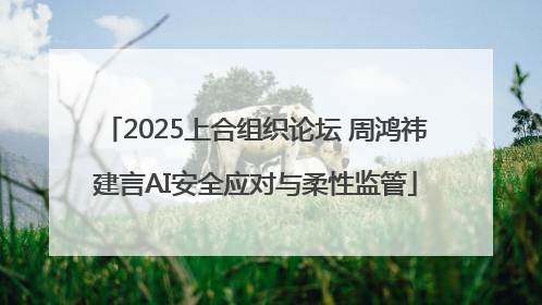 2025上合组织论坛 周鸿祎建言AI安全应对与柔性监管