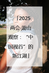 2025两会·萧山观察：“中国视谷”的新江湖