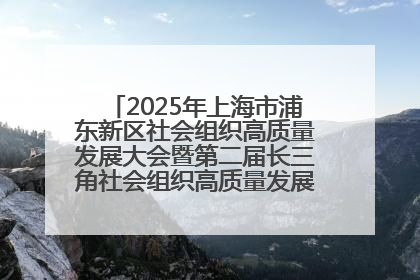 2025年上海市浦东新区社会组织高质量发展大会暨第二届长三角社会组织高质量发展峰会成功举办