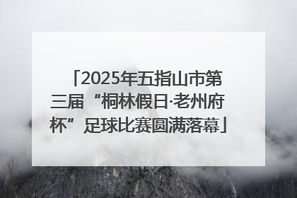 2025年五指山市第三届“桐林假日·老州府杯”足球比赛圆满落幕