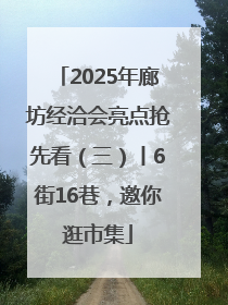 2025年廊坊经洽会亮点抢先看（三）丨6街16巷，邀你逛市集