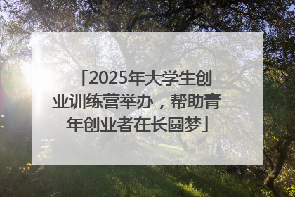 2025年大学生创业训练营举办，帮助青年创业者在长圆梦