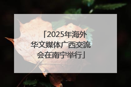 2025年海外华文媒体广西交流会在南宁举行