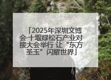 2025年深圳文博会·十堰绿松石产业对接大会举行 让“东方圣玉”闪耀世界