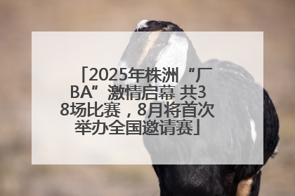 2025年株洲“厂BA”激情启幕 共38场比赛，8月将首次举办全国邀请赛
