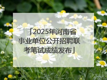 2025年河南省事业单位公开招聘联考笔试成绩发布