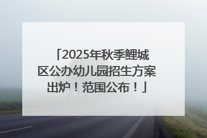 2025年秋季鲤城区公办幼儿园招生方案出炉！范围公布！