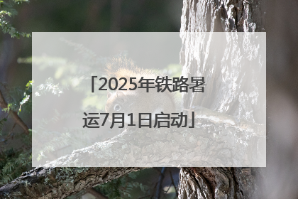 2025年铁路暑运7月1日启动