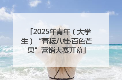 2025年青年（大学生）“青耘八桂·百色芒果”营销大赛开幕