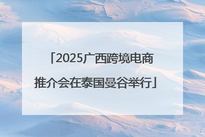2025广西跨境电商推介会在泰国曼谷举行