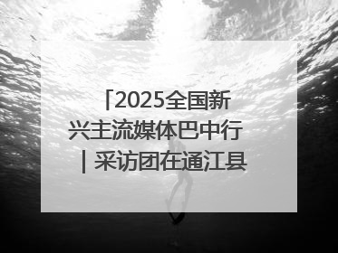 2025全国新兴主流媒体巴中行｜采访团在通江县瞻仰全国最大红军烈士陵园