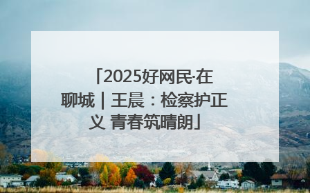 2025好网民·在聊城｜王晨：检察护正义 青春筑晴朗