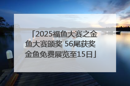 2025福鱼大赛之金鱼大赛颁奖 56尾获奖金鱼免费展览至15日