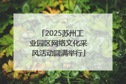 2025苏州工业园区网络文化采风活动圆满举行