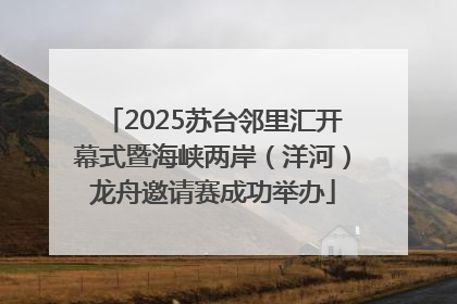 2025苏台邻里汇开幕式暨海峡两岸（洋河）龙舟邀请赛成功举办