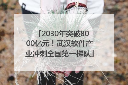 2030年突破8000亿元！武汉软件产业冲刺全国第一梯队