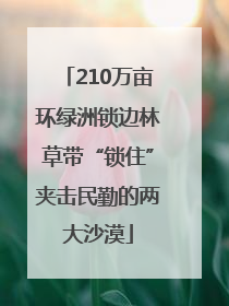 210万亩环绿洲锁边林草带“锁住”夹击民勤的两大沙漠
