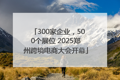 300家企业，500个展位 2025郑州跨境电商大会开幕