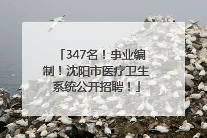 347名！事业编制！沈阳市医疗卫生系统公开招聘！
