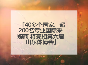 40多个国家、超200名专业国际采购商 将亮相第六届山东体博会