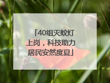 40组灭蚊灯上岗，科技助力居民安然度夏
