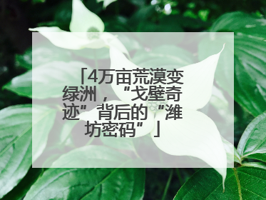 4万亩荒漠变绿洲，“戈壁奇迹”背后的“潍坊密码”