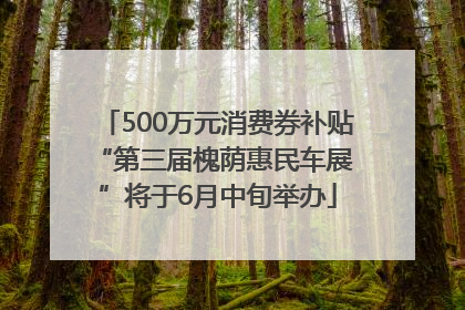 500万元消费券补贴 “第三届槐荫惠民车展”将于6月中旬举办