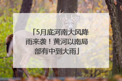 5月底河南大风降雨来袭！黄河以南局部有中到大雨