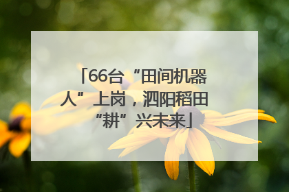 66台“田间机器人”上岗，泗阳稻田“耕”兴未来