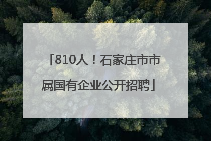 810人！石家庄市市属国有企业公开招聘
