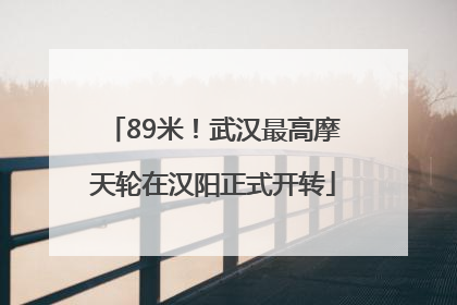 89米！武汉最高摩天轮在汉阳正式开转