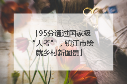 95分通过国家级“大考”，镇江市绘就乡村新图景