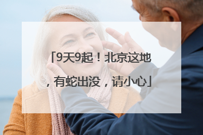 9天9起！北京这地，有蛇出没，请小心