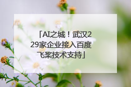 AI之城！武汉229家企业接入百度飞桨技术支持