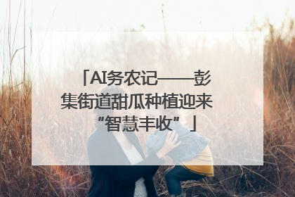 AI务农记——彭集街道甜瓜种植迎来“智慧丰收”