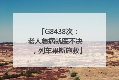 G8438次：老人急病就医不决，列车果断施救