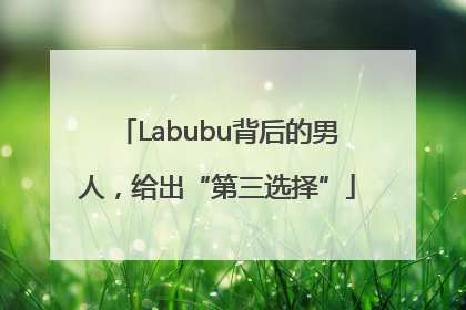 Labubu背后的男人，给出“第三选择”