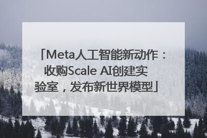 Meta人工智能新动作：收购Scale AI创建实验室，发布新世界模型