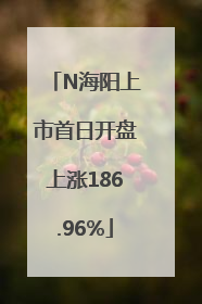 N海阳上市首日开盘上涨186.96%